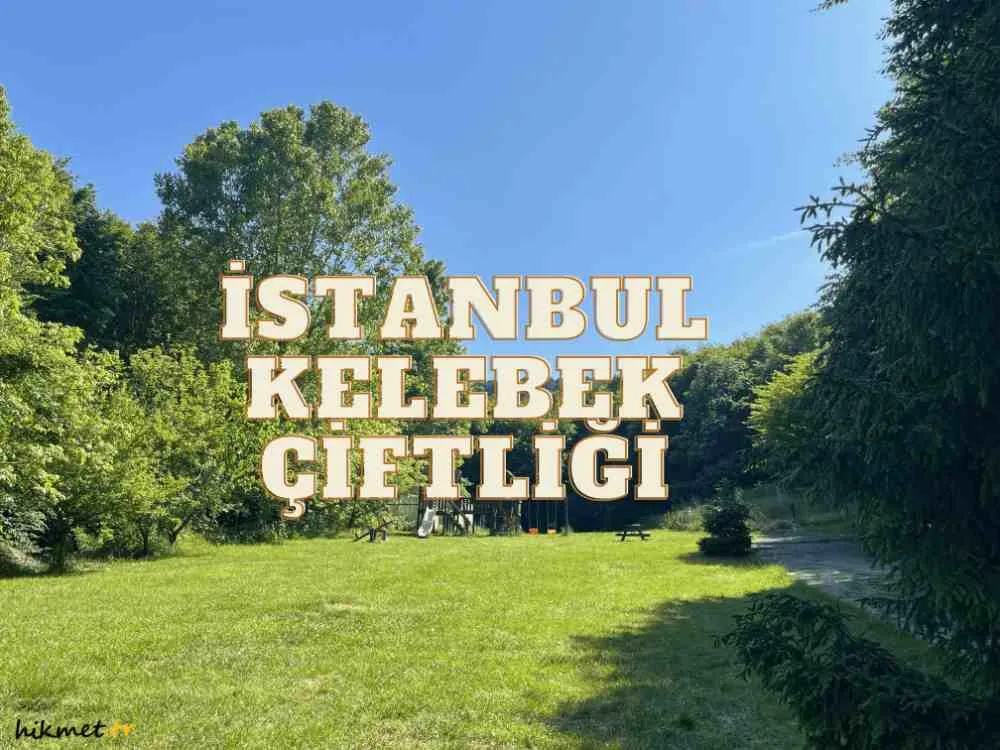 istanbul kelebek çiftliği