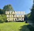 Beykoz’da İstanbul Kelebek Çiftliği Deneyimimiz: Giriş Ücreti, Ulaşım ve Tüm Detaylar