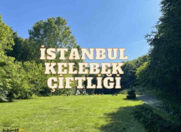 Beykoz’da İstanbul Kelebek Çiftliği Deneyimimiz: Giriş Ücreti, Ulaşım ve Tüm Detaylar