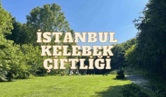 Beykoz’da İstanbul Kelebek Çiftliği Deneyimimiz: Giriş Ücreti, Ulaşım ve Tüm Detaylar